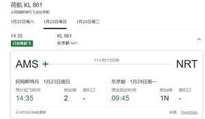 洛国富从荷兰飞往东京航班显示取消,网友:机场两个酒店订满了
